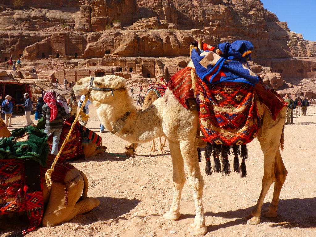 Découvrir le Moyen Orient Découvrir le Moyen Orient