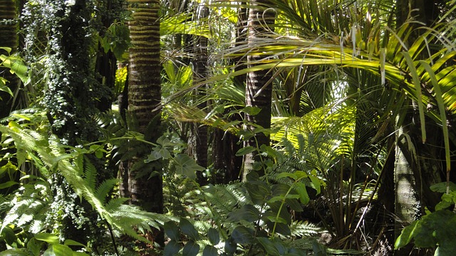 La faune et la flore de la jungle exotique : une decouverte fascinante
